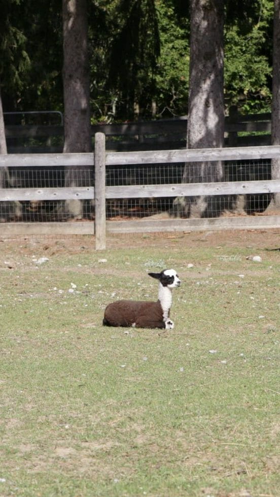 RTO8_Robs-iPhone – 4