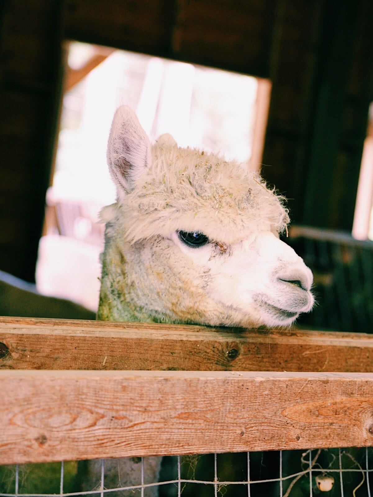 Processed with VSCO with c1 preset