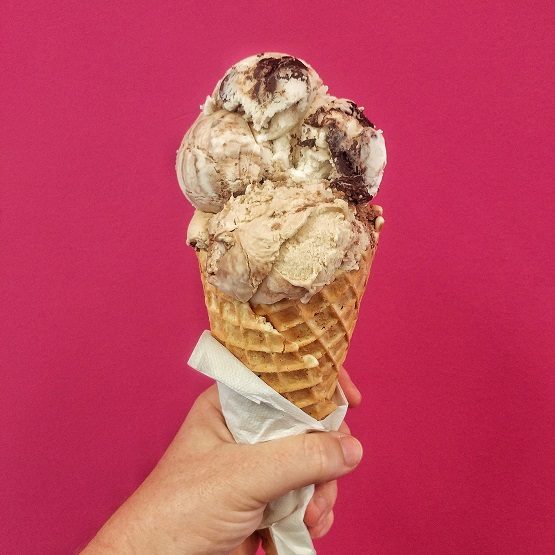 MOOSE TRACKS ICE CREAM