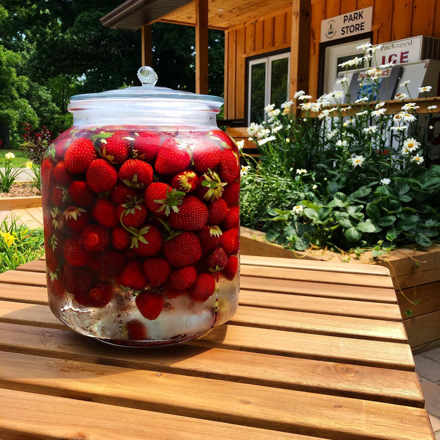 strawberry infused water on a table outside