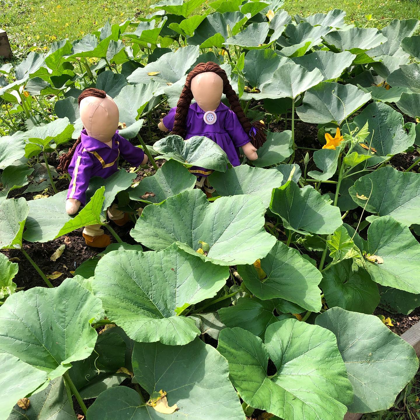 dolls in a zuchhini patch
