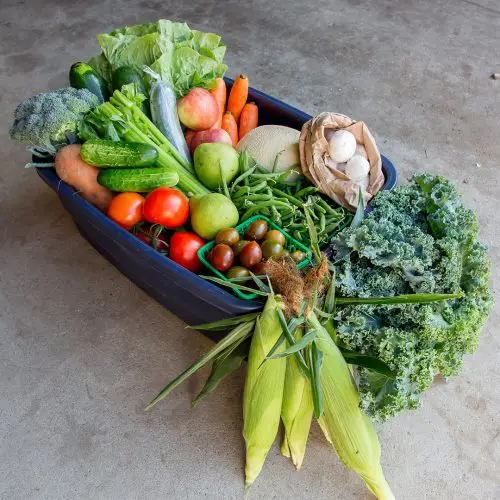 harvest subscription box from Lee and Maria's