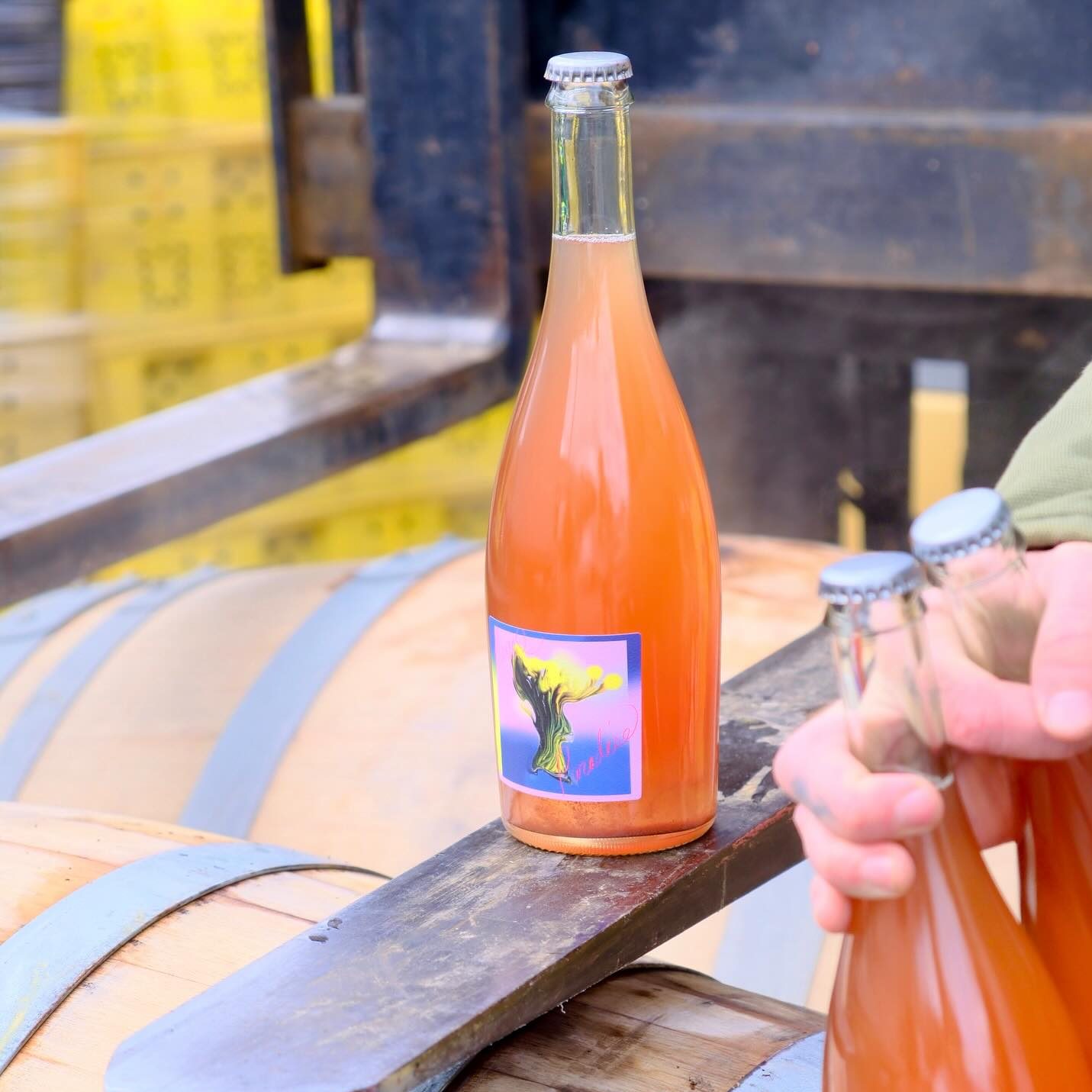 revel-cider-paradise-grapevine