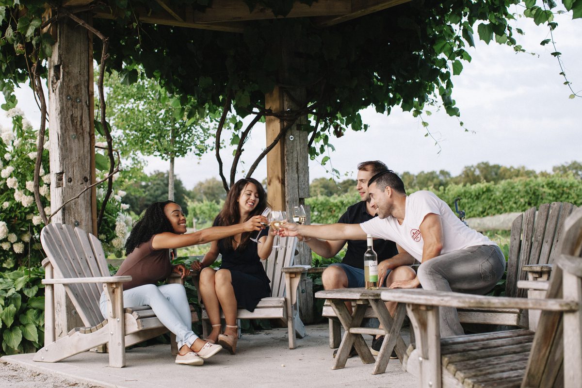 four people cheersing wine at oxley estate